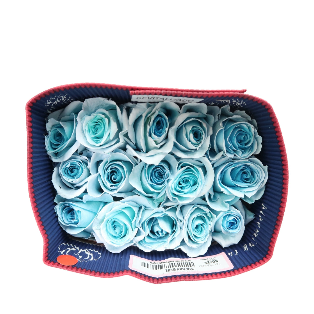 Rose Bundle - Twitter Blue