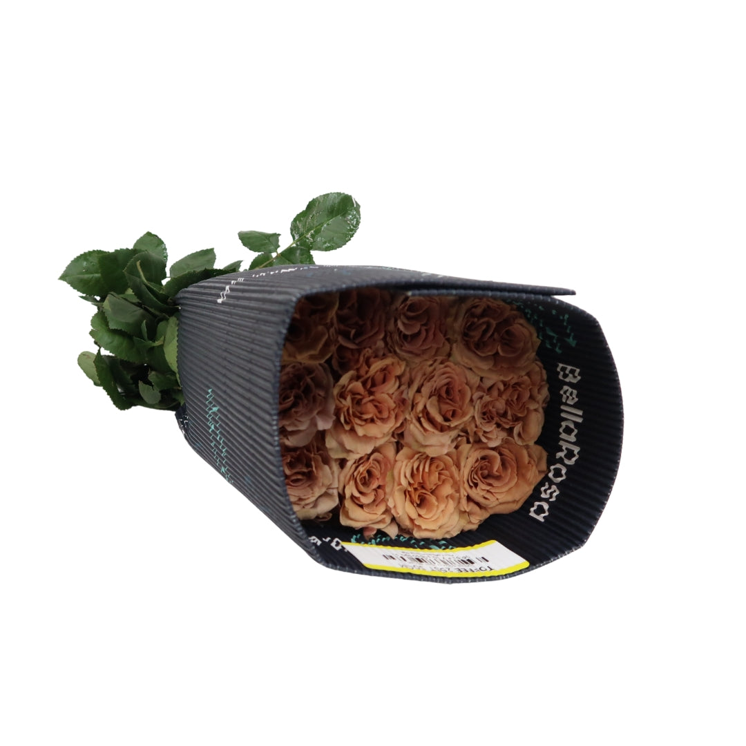 Rose Bundle - Toffee