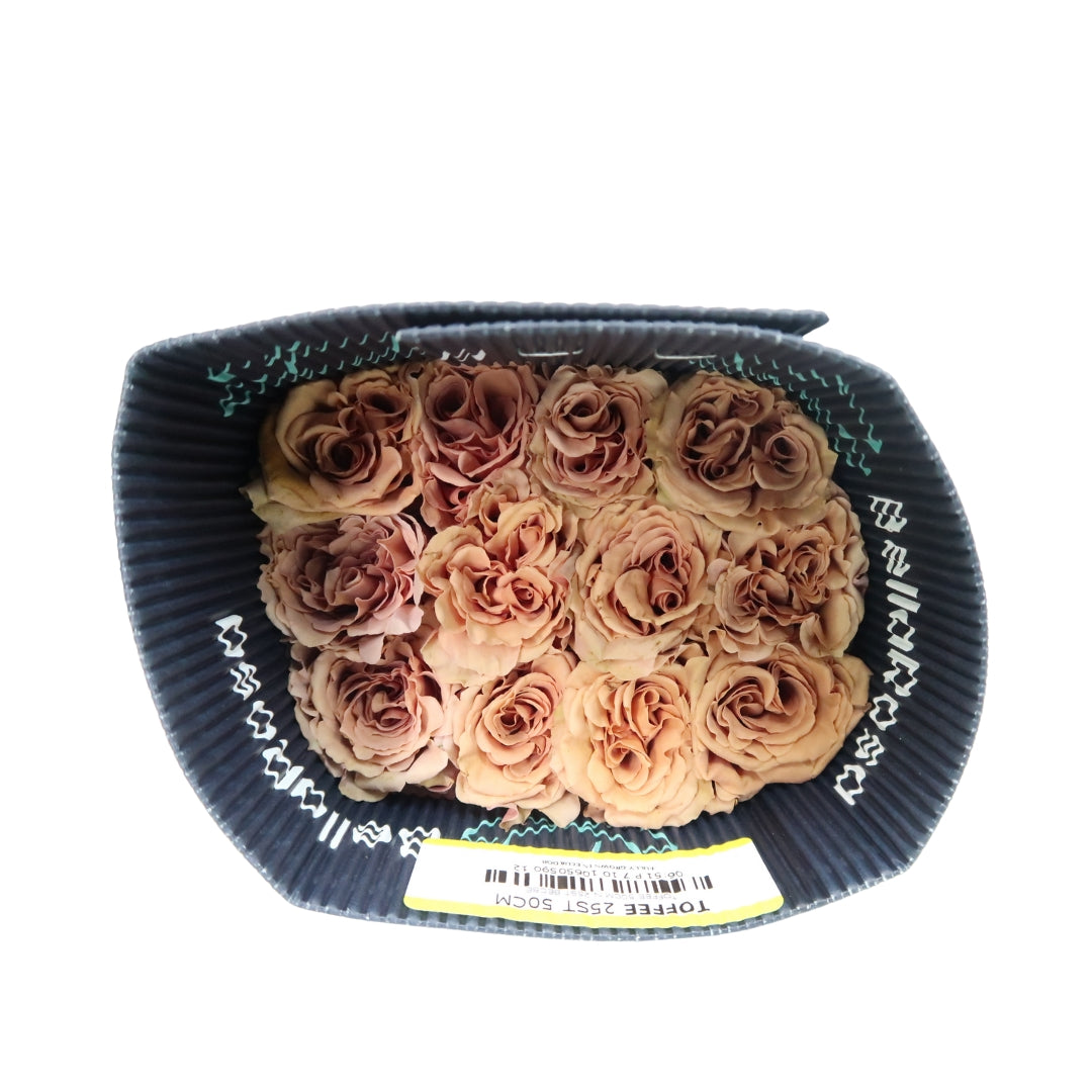 Rose Bundle - Toffee