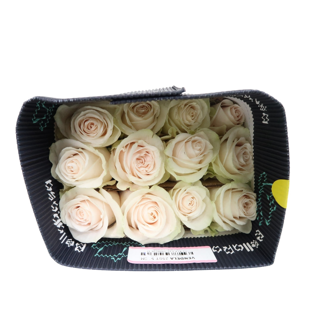 Rose Bundle - Vendela