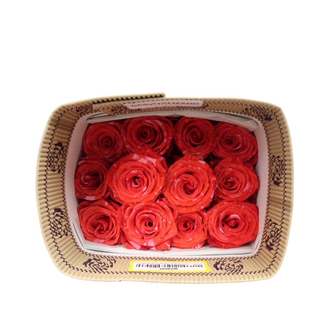 Rose Bundle - Wildcat