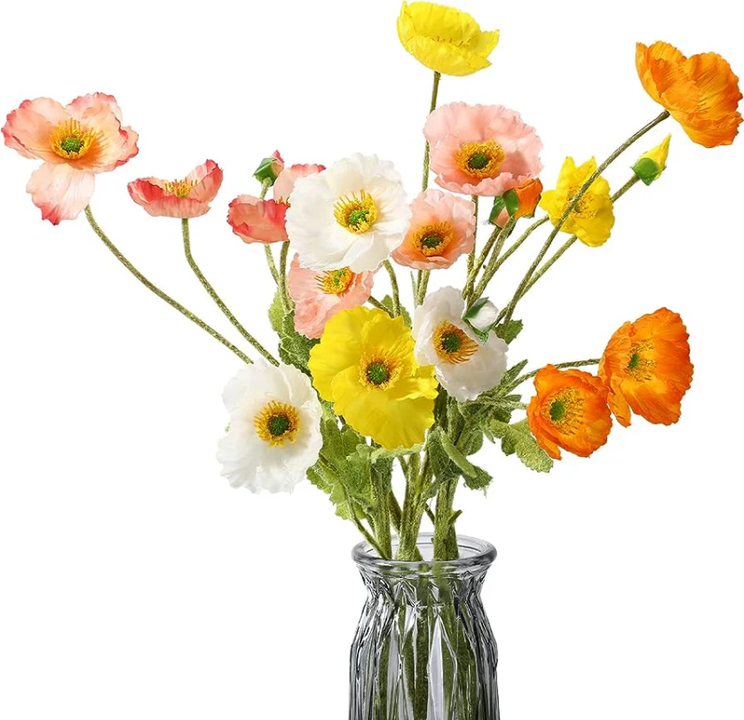 Poppies